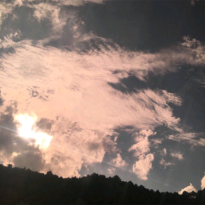 被送到黑人变态性俱乐部小说
